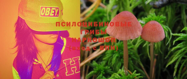прущие крисы Арсеньев