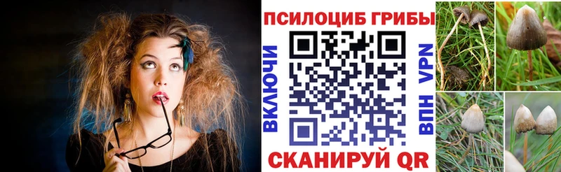 Псилоцибиновые грибы Magic Shrooms  Купить закладки  Весьегонск 